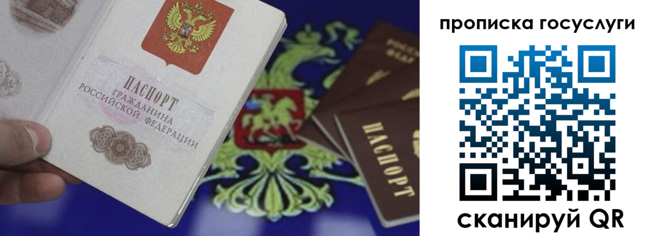 прописка для школы в Эртили